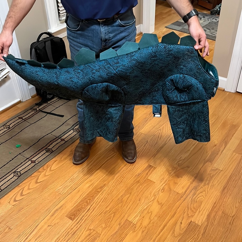 Dinosaur dog costume